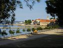 Ferienwohnungen Renato - 150 m from beach: A1(2+2), A2(2+2) Sveti Filip i Jakov - Riviera Biograd  - Strand