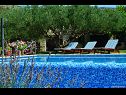 Ferienhaus Vojo - private swimming pool: H(4) Bol - Insel Brac  - Kroatien - Freibad (Objekt und Umgebung)
