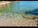 Ferienwohnungen Deni - 70m from beach: A1(4+1) Bucht Osibova (Milna) - Insel Brac  - Kroatien - Strand