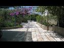 Ferienwohnungen Ljuba - nice garden: A2(4+1) Plavi, A4(8+1), A1(2+2) Okrug Gornji - Insel Ciovo  - Blumenanlage (Objekt und Umgebung)