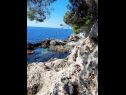 Ferienwohnungen Ana - cosy with sea view : A4(3+2), A5(3+2) Dubrovnik - Riviera Dubrovnik  - Strand