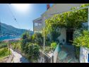 Ferienwohnungen Gordana A1(4) Zaton (Dubrovnik) - Riviera Dubrovnik  - Hof