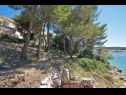 Ferienwohnungen Danica - large terrace with sea view A1 Dana(4) Bucht Zubaca (Vela Luka) - Insel Korcula  - Kroatien - Haus