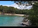 Ferienwohnungen Insula Insule - rustic & peaceful: SA1(2+1), SA2(2+1) Skrbcici - Insel Krk  - Strand