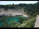 Ferienhaus Bernardica - on cliffs above sea: H(6+2) Vrbnik - Insel Krk  - Kroatien - Vegetation