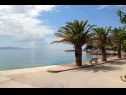 Ferienwohnungen Gogi - 100 m from beach: A6(4+1), A1(2+1), A2(2+1), A8(4+2) Zivogosce - Riviera Makarska  - Detail