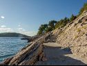 Ferienhaus Ani - 30 m from beach : H(4+1) Maslinica - Insel Solta  - Kroatien - Strand