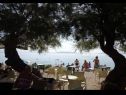 Ferienwohnungen Damir - with garden: A1(6) Kastel Stafilic - Riviera Split  - Strand