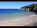 Ferienwohnungen Roki - 10 m from beach: A1(6+2) Veliki, A2(2+2) Mali Bucht Rogacic (Vis) - Insel Vis  - Kroatien - Strand