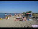 Ferienwohnungen Ljilja 1 - with terrace : A1(6+2) Nin - Riviera Zadar  - Strand