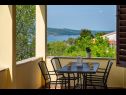 Ferienwohnungen Mari - with view: A1(4) Novigrad - Riviera Zadar  - Haus
