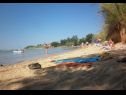 Ferienwohnungen Dobri - 500 m from beach: A5(2), A4(2+2), A3(2+2), A2(2+2), A6(2+1) Sabunike - Riviera Zadar  - Strand