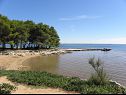 Ferienwohnungen VINK - 80 m from beach A2(4), A3(4), A4(4) Vir - Riviera Zadar  - Strand