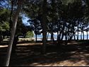 Ferienwohnungen VINK - 80 m from beach A2(4), A3(4), A4(4) Vir - Riviera Zadar  - Aussicht