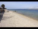 Ferienwohnungen Rising Sun A1(2+2), A2(2+2), A3(2+2) Vir - Riviera Zadar  - Strand