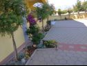 Ferienwohnungen Vanja - terrace & BBQ A1(4+2), A2(4+1) Vir - Riviera Zadar  - Hof