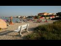 Ferienwohnungen Tihana - 200 m from sea: A1(4+1) Vir - Riviera Zadar  - Strand