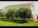 Ferienwohnungen Mir - family apartments with garden terrace A1(4), A2(2) Zaton (Zadar) - Riviera Zadar  - Haus