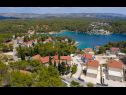 Ferienwohnungen Dalis - open swimming pool: A1 kat(4+1), A2 prizemlje(4) Bucht Osibova (Milna) - Insel Brac  - Kroatien - Vegetation (Objekt und Umgebung)