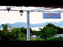 Ferienhaus Zdravko - sea view & peaceful nature: H(10+3) Brsecine - Riviera Dubrovnik  - Kroatien - Terasse (Objekt und Umgebung)