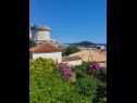 Zimmer Garden - with a view: R1(2) Dubrovnik - Riviera Dubrovnik  - Aussicht (Objekt und Umgebung)