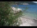 Ferienwohnungen At the sea - 5 M from the beach : A1(2+3), A2(2+2), A3(8+2), A4(2+2), A5(2+2), A6(4+1) Klek - Riviera Dubrovnik  - Strand