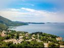 Ferienwohnungen und Zimmer Villa Bouganvillea - sea view & garden: A1 Deluxe (2+1), A2 Superior (2+1), A3 Comfort (2+1), A4 Premium (2+1), R1 Deluxe (2), R2 Comfort (2) Mlini - Riviera Dubrovnik  - Meerblick (Objekt und Umgebung)