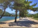 Ferienwohnungen Leo - sea view & comfortable: A1(6) Ploce - Riviera Dubrovnik  - Strand
