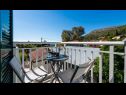 Ferienwohnungen Silverija - garden and parking: SA1(2+1), SA2(2), SA3(2), SA4(2) Trsteno - Riviera Dubrovnik  - Studio-Ferienwohnung - SA4(2): Balkon