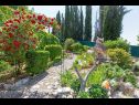 Ferienwohnungen Silverija - garden and parking: SA1(2+1), SA2(2), SA3(2), SA4(2) Trsteno - Riviera Dubrovnik  - Vegetation (Objekt und Umgebung)