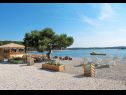 Ferienwohnungen Ljilja - nice garden: A1(4) Fazana - Istrien  - Strand