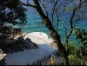 Ferienhaus Vers - 35m from the sea: H(4+2) Bucht Picena (Vela Luka) - Insel Korcula  - Kroatien - Strand