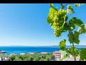 Ferienwohnungen Robert - sea view : A1(4+1), A2(4+2) Brela - Riviera Makarska  - Ferienwohnung - A1(4+1): Aussicht