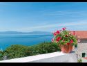 Ferienwohnungen Jure - terrace with amazing sea view: A1 Leona (6+2), A2 Ivano (6+2) Brist - Riviera Makarska  - Ferienwohnung - A1 Leona (6+2): Aussicht