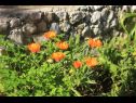 Ferienwohnungen Rosemary - gorgeous garden : A1(4+1), A2(4+1) Rogoznica - Riviera Sibenik  - Blumenanlage