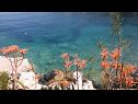 Ferienwohnungen Nikola - in front of the sea: A1(4) Bucht Donja Krusica (Donje selo) - Insel Solta  - Kroatien - Meerblick