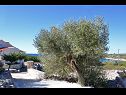 Ferienhaus Željko - sea view H(4+2) Drvenik Mali (Insel Drvenik Mali) - Riviera Trogir  - Kroatien - Detail (Objekt und Umgebung)