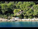 Ferienhaus Dob - 5m from the sea: H(4) Bucht Stoncica (Vis) - Insel Vis  - Kroatien - Haus