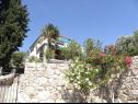 Ferienwohnungen Vlatkica - 10 m from beach: A1 Vlatkica(4), A2 Lea(4) Maslenica - Riviera Zadar  - Haus