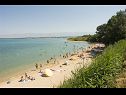 Ferienwohnungen Mirko - 100m from the sea: A2(9) Nin - Riviera Zadar  - Strand
