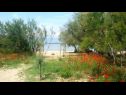 Ferienwohnungen Dragi - with pool: A2(4), A3(4), A4(4), A6(2) Nin - Riviera Zadar  - Strand
