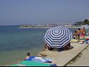 Ferienwohnungen Marietta - sea view: A1(2+2), A2(2+2) Rtina - Riviera Zadar  - Strand