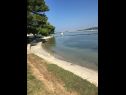 Ferienwohnungen Andy - only 50 m from beach: A1(3+1), A2(2+1), SA1(2) Sukosan - Riviera Zadar  - Strand