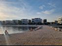 Ferienwohnungen Mare - 20 m from beach: A1(4+4), A2(2+2), A3(2+2) Sukosan - Riviera Zadar  - Strand