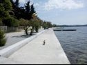 Ferienwohnungen Franka - 70 m from sea: A1(6) Zadar - Riviera Zadar  - Detail