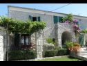 Ferienwohnungen Jase A1 Jasminka(3+1) Zadar - Riviera Zadar  - Haus
