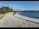 Ferienwohnungen Ankica - 150 m from beach: A1(2+2), A2(5), A3(4+1), A4(2+2) Zadar - Riviera Zadar  - Strand