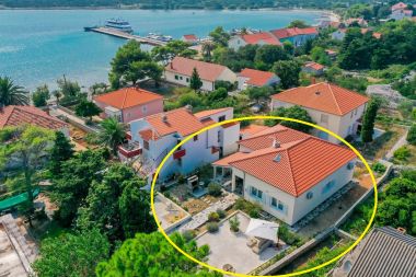 Ferienhaus Ante - 30 m from beach: H(6+2) Ist (Insel Ist) - Riviera Zadar  - Kroatien