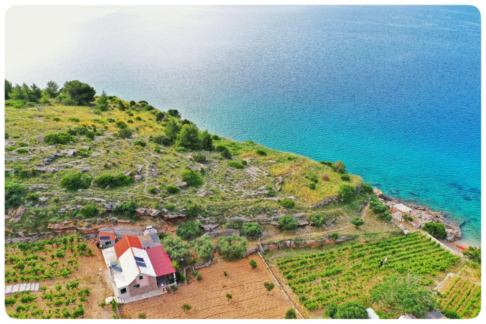 Ferienhaus Smokovlje - sea view and vineyard H(4) Bol - Insel Brac  - Kroatien